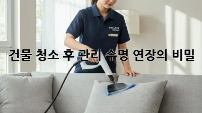 건물 청소 후 관리: 수명 연장의 비밀